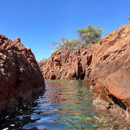 Naim Esterel וילה Saint-Raphaël